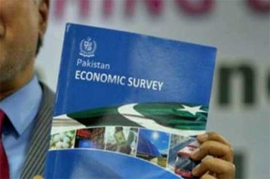 Economic Survey of Pakistan 2018-19