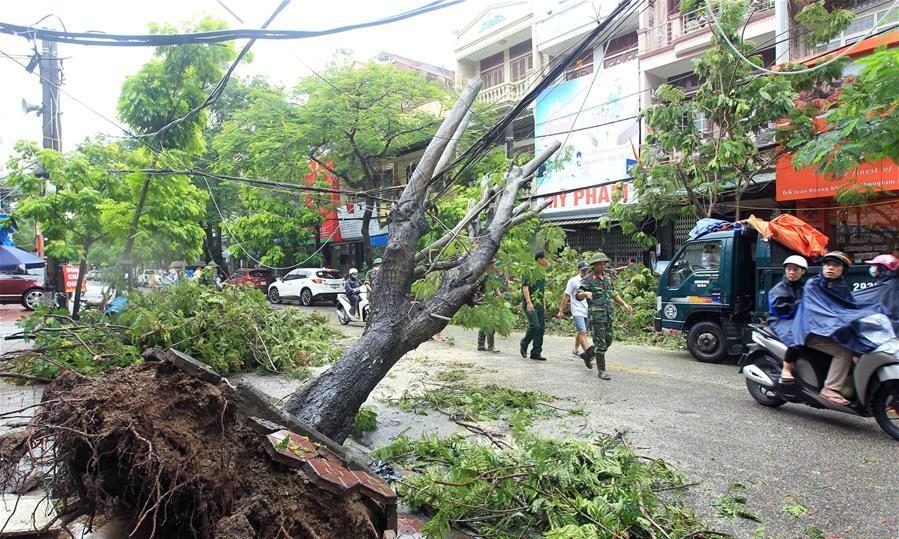 Tropical Storm Wipha hits Vietnam, five dead